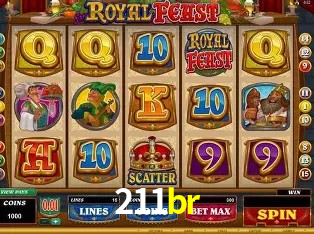 211br