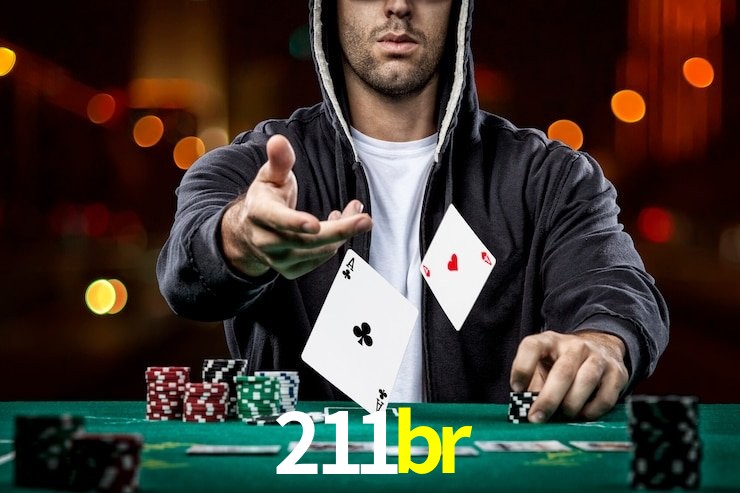 211br App Interface