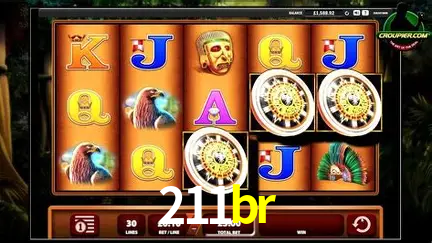 Descubra o Mundo do Cassino Online com 211br